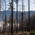 Widok na Babią górę z grani przy Hali Kamińskiego