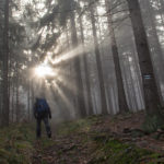 W drodze na na Halę Kamińskiego