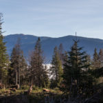 Widok na Babią Górę z grani przy Hali Mędralowej