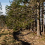 Granica polsko-słowacka na głównej grani pomiędzy Małą Babią Górą, a Pilskiem (czerwony szlak)