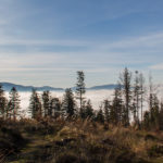 Widok na Polsko z czerwonego szlaku poniżej Mędralowej