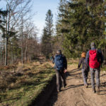 Granica polsko-słowacka na głównej grani pomiędzy Małą Babią Górą, a Pilskiem (czerwony szlak)
