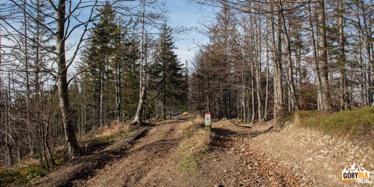 Granica Polsko-Słowacka na głównej grani pomiędzy Małą Babią Górą, a Pilskiem (czerwony szlak)