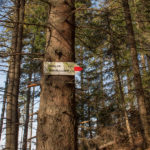 Drogowskaż na Mędralową przy zielonym szlaku na Małą Mędralową