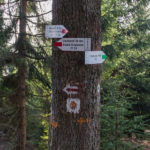 Zielony szlak z głównej grani w kierunku Małej Mędralowej