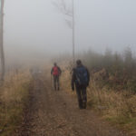 Na zielonym szlaku pomiędzy Małą Mędralową (1042 m), a Jaworzyną (997 m)