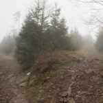 Na zielonym szlaku pomiędzy Małą Mędralową (1042 m), a Jaworzyną (997 m)