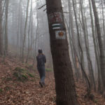 Zielony szlak na na Halę Kamińskiego