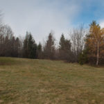 Polana na szczycie Jaworzyny (997 m)