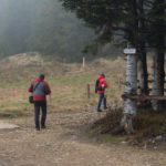 Drogowskazy szlaków na Przełęczy Klekociny