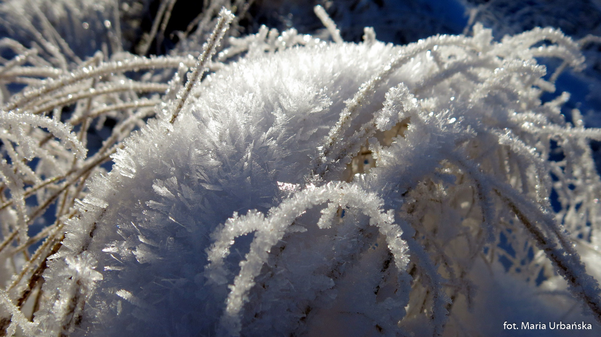 Zimowe fantazje na polanach grani Łopienia