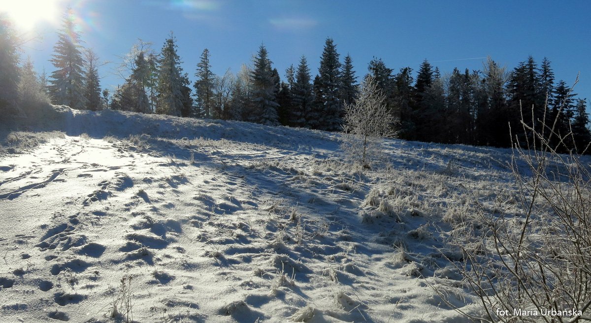 Zimowe hale na grani Łopienia