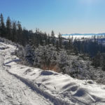Widoki z trasy narciarskiej pod szczytem Radziejowej