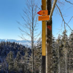 Rozdroże Radziejówka - na trasie narciarskiej pod szczytem Radziejowej