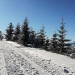 Trasa narciarska pod szczytem Radziejowej