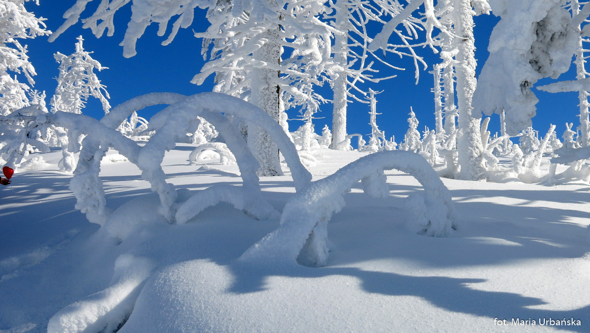 Zimowe fantazje przy szlaku na Malinowską Skałę
