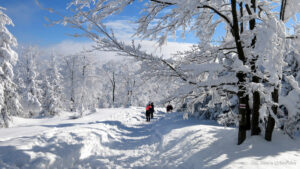Zimowe fantazje przy szlaku na Malinowską Skałę