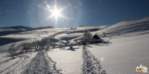 Drewniana wiata na Przełęczy Goprowskiej to popularne miejsce odpoczynku