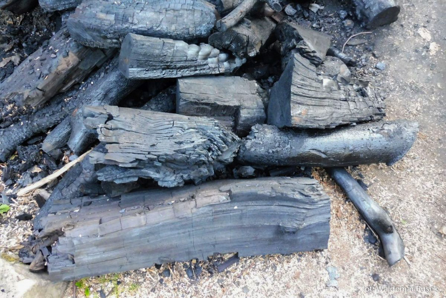 Wypał węgla drzewnego w Bieszczadach