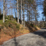 Szutrowa droga do Schroniska Przysłop