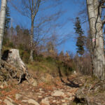 Ścieżka czerwonego szlaku wspina się wprost na Przysłop