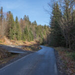 Czerwony szlak skręca na zbocze Doliny Czarnej Wisełki