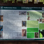 Tablica ścieżki edukacyjnej w Dolinie Czarnej Wisełki