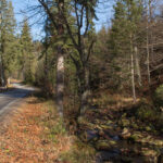 Dolina Czarnej Wisełki