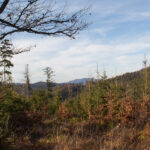 Widok w kierunku Czantorii Wielkiej