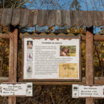 Drogowskazy Szlaku Habsburgów na Stecówce