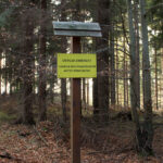 Już szersza i sucha ścieżka czerwonego szlaku przed Stecówką