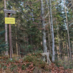 I skręca na wschód w kierunku Beskidka (796 m)