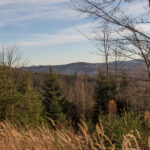 Widok ze zboczy Szarculi (798 m) na Ochodzitą (894 m)