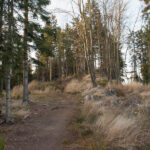 Prawie niewidoczna Dorkowa Skała od strony szczytu Szarculi (798 m)