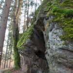 Ścieżka czerwonego szlaku przy Dorkowej Skale