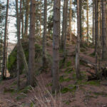 Dorkowa Skała nad Przełęczą Szarcula