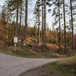 Rozwidlenie dróg i szlaków nad Przełęczą Szarcula