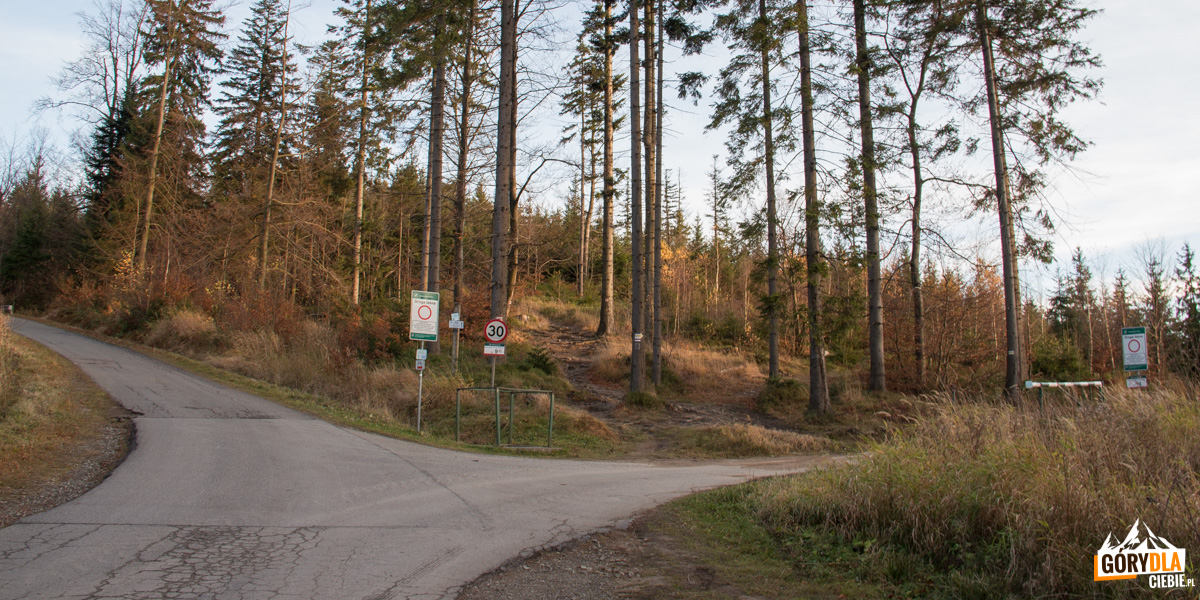 Rozwidlenie dróg i szlaków nad Przełęczą Szarcula