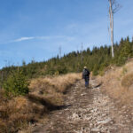 Podejście czarnym szlakiem na Baranią Górę powyżej szczytu Skałki (1020 m)
