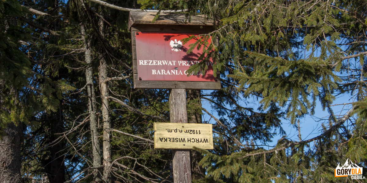 Wierch Wisełka (1192 m)