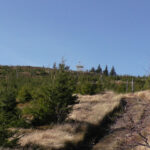Wieża widokowa na szczycie Baraniej Góry widziana z zejścia Barańskim Groniem