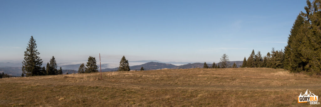 Widok z górnej części Hali Krawcula w kierunku północnym: od lewej Sucha Góra (1040), Redykalny Wierch (1144 m), na horyzoncie grań Beskidu Śląskiego od Baraniej Góry (1220 m) po Skrzyczne (1257 m)