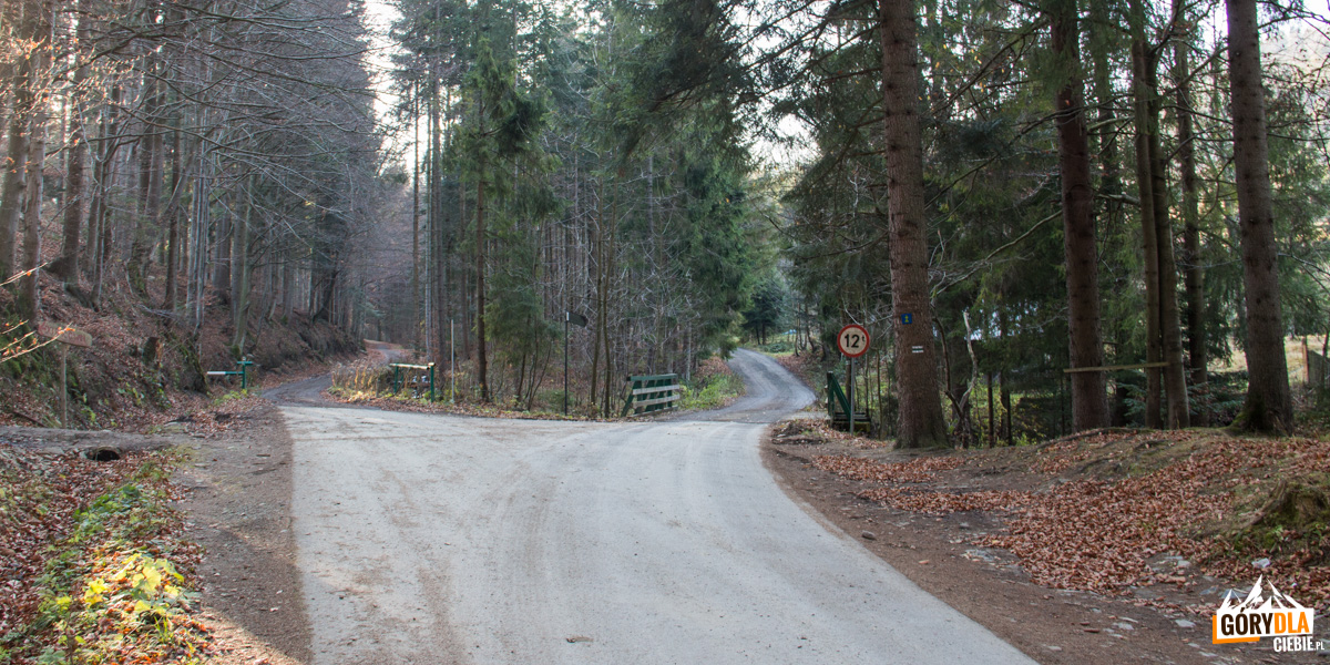 Zejście drogą na trasie zielonego szlaku z Przełęczy Przysłop do Soblówki