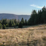 Od Bacówki żółty szlak zbiega przez dolną część Hali Rycerzowej