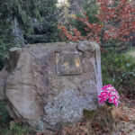 Trasą żółtego szlaku z Bacówki na Rycerzowej biernie też droga różńcowa