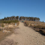 Małe Skrzyczne (1211 m) od południa