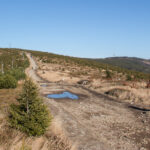 Widok na Kopę Skrzyczeńską i Skrzyczne