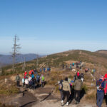 Oblężona Malinowska Skała (1152 m)