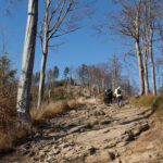 Podejście z Przełęczy pod Malinowem (1005 m) na Malinów