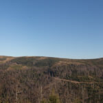 Widok spod szczytu Malinowa na Małe Skrzyczne (1211 m), Kopę Skrzyczeńską (1189 m), Malinowską Skałę (1152 m)